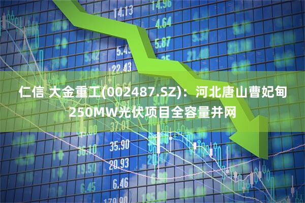 仁信 大金重工(002487.SZ):河北唐山曹妃甸250MW光伏项目全容量并网