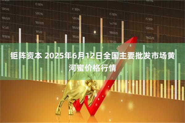 钜阵资本 2025年6月12日全国主要批发市场黄河蜜价格行情